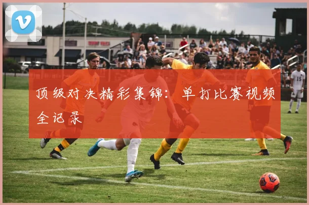 顶级对决精彩集锦：单打比赛视频全记录